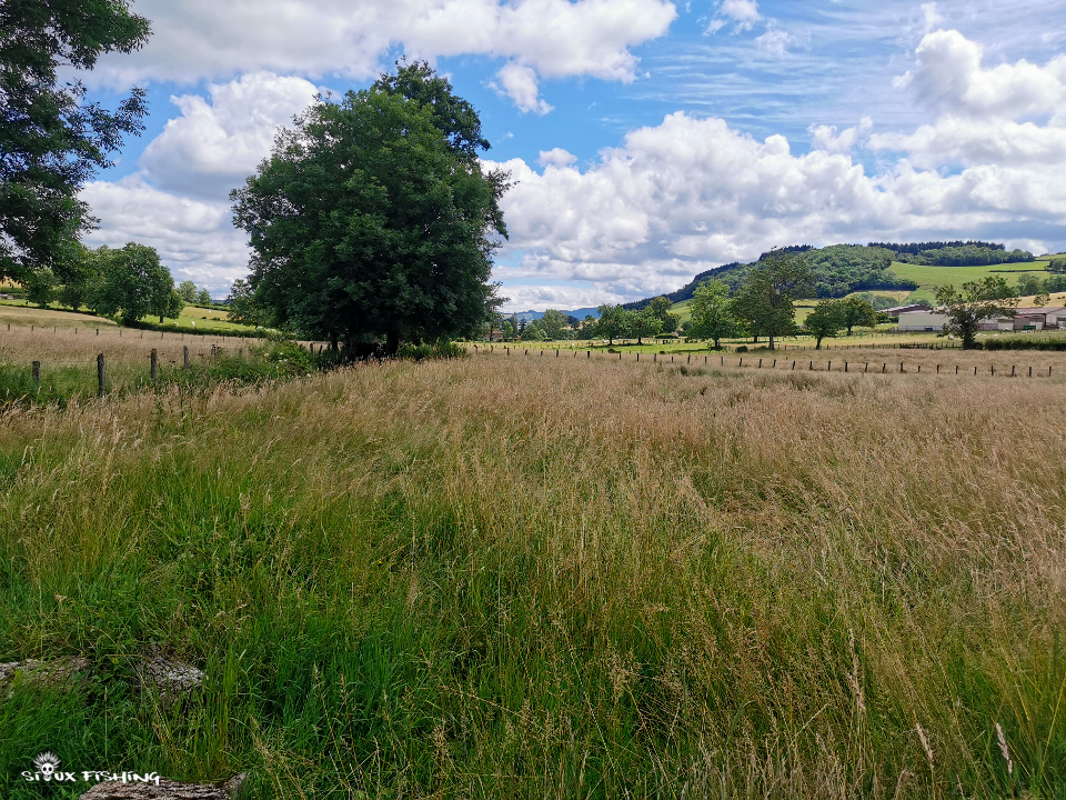 Vallée de la Grosne